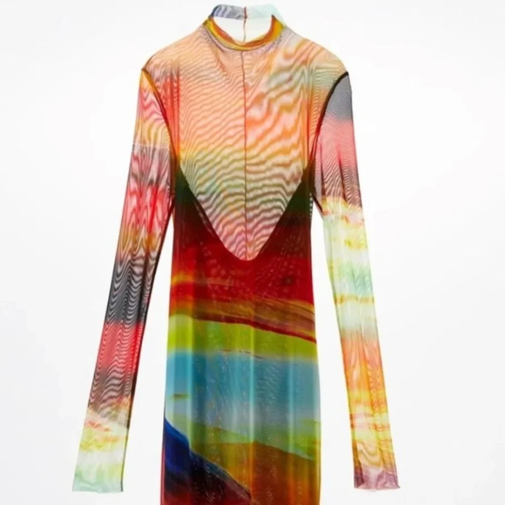 ISO: ZARA PRINTED TULLE DRESS 🔍 - Picture 4 of 4